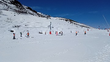 1000026190.jpg