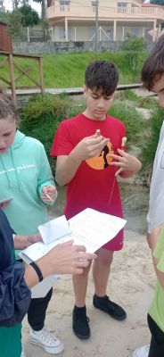 IMG_20230609_134635
