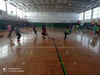 IMG_20240206_114330.jpg