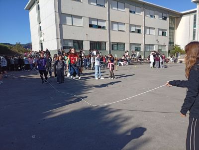 IMG_20251121_130357.jpg