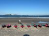 IMG-20251121-WA0020.jpg