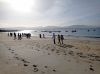 IMG_20201116_110815.jpg