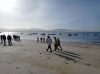IMG_20201116_110827.jpg