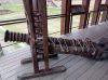 IMG_20220313_163846.jpg
