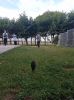 IMG_20220519_094337.jpg