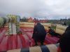 IMG_20221109_110322.jpg