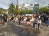 IMG_20260416_095410.jpg