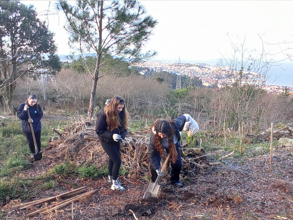 Plantando árbores no monte de Teis