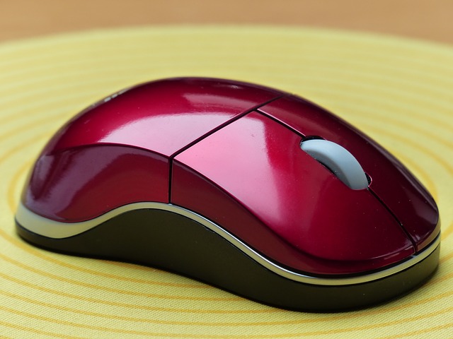 computer mouse
