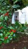 20160929_112125_w.jpg