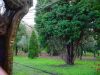 DSC00868.JPG
