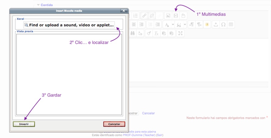Insertar un multimedia nunha Páxina