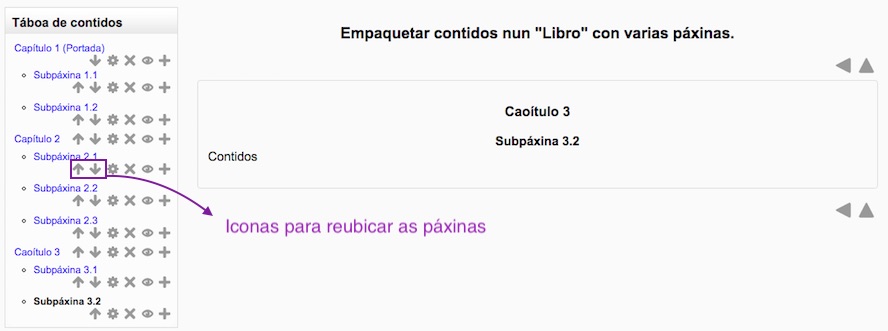 ÑLibro con capítulos e subpáxinas