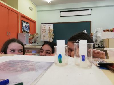 aguiar14.jpeg