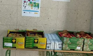 Froita