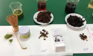 Tés