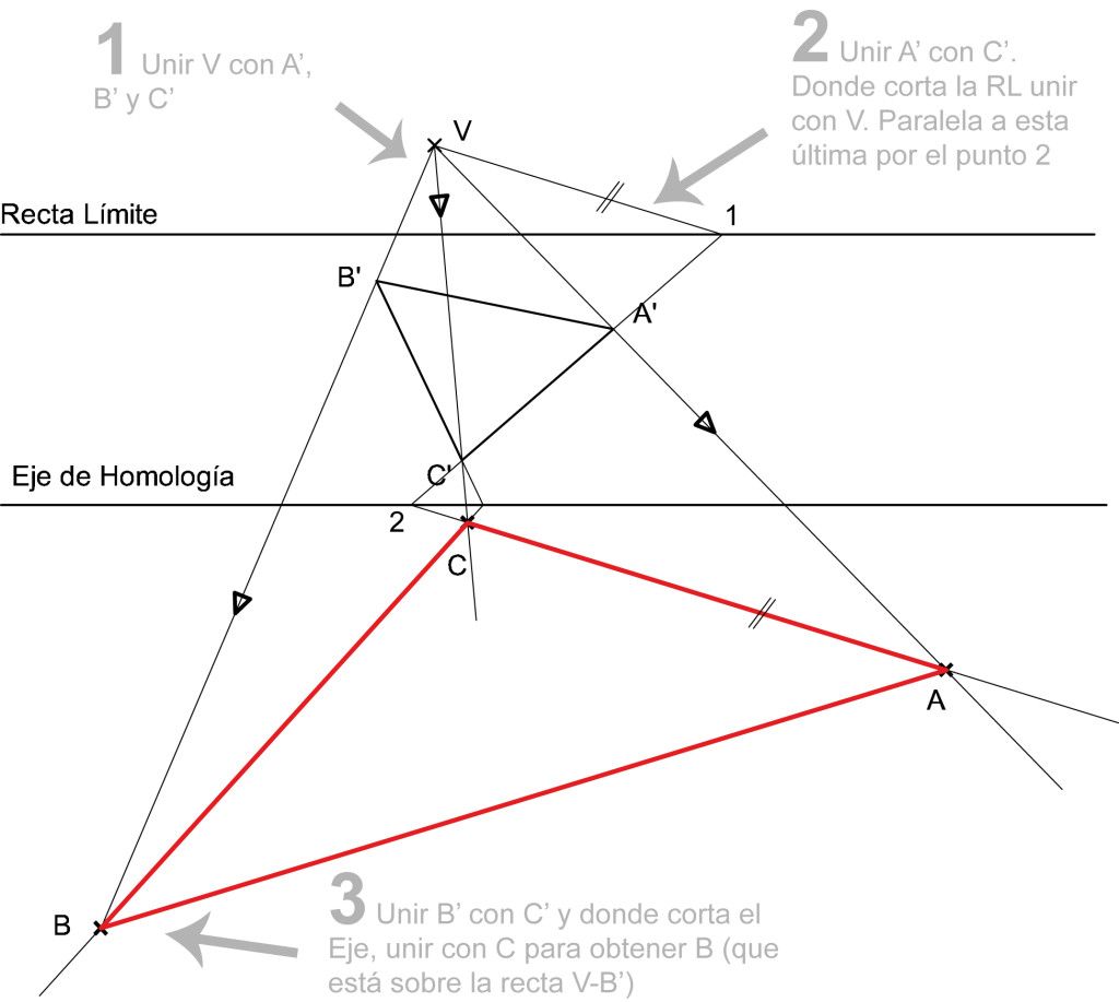 Homoloxía, elementos