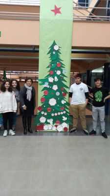 IMG-20191219-WA0008.jpg