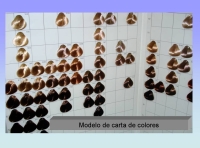 Fotografía de una carta de color donde se ven muestras de cabello teñido con su nombre y número.
