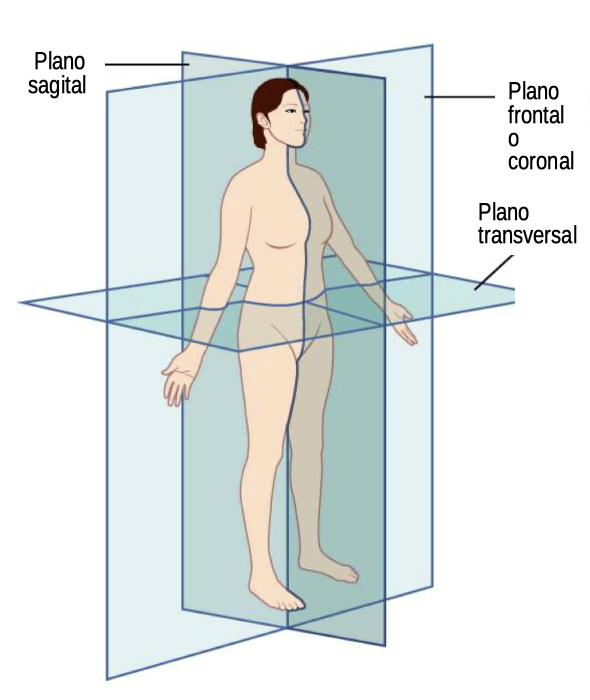 Planos y secciones