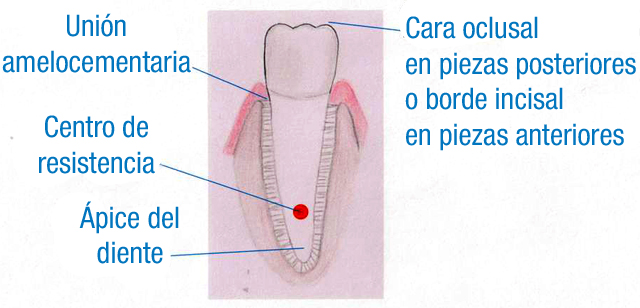 Centro de resistencia
