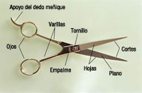 Tijera de corte, de filos rectos. Muestra una tijera de corte, de filos rectos abierta en la que se señalan las partes y sus nombres.