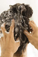 Se ve la parte de atrás de una cabeza con champú, con unas manos que manipulan el cabello.