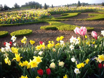 Jardins de Versailles
