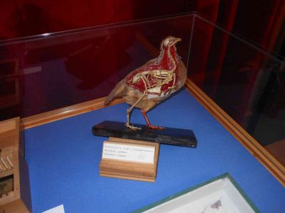 DSCN1028.JPG