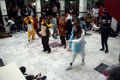 IMG_5328_(Copiar).JPG