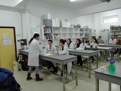 Microbioloxía
Prácticas de Microbioloxía do alumnado STEMbach realizadas no laboratorio do IES Lucus Augusti o 19/12/2018
