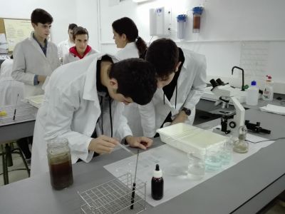 Microbioloxía
Prácticas de Microbioloxía do alumnado STEMbach realizadas no laboratorio do IES Lucus Augusti o 19/12/2018
