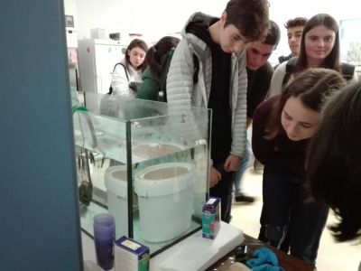 CIQUS, Biotecnoloxía e CIBUS
Visita ao CIQUS, BIOTECNOLOXÍA e CIBUS. Universidade de Santiago de Compostela.
19/06/2019
