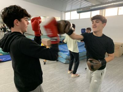 Palabras chave: Boxeo