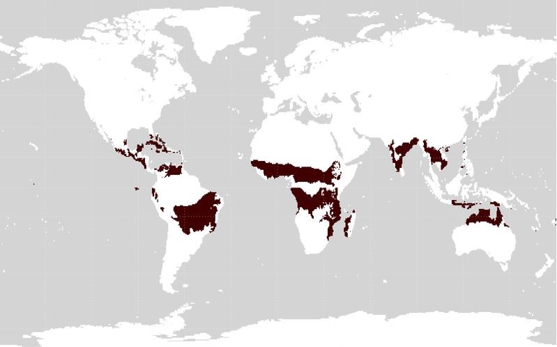 Distribución dos climas tropicais