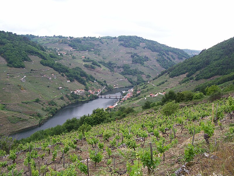 Imaxe do val de Chantada