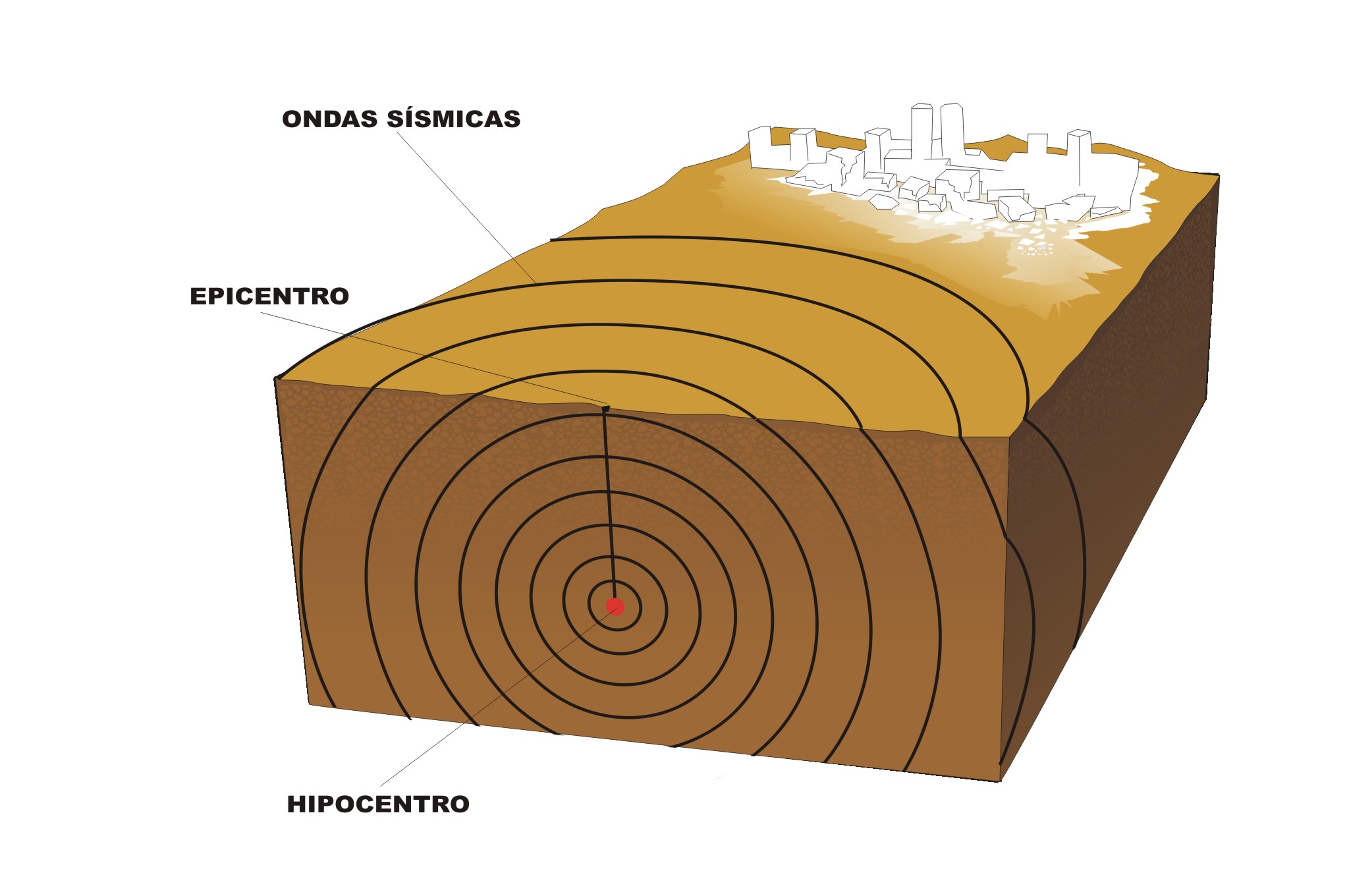 Debuxo dun terremoto onde se sinala o epicentro