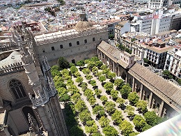 Fotografía do Patio dos Laranxos (vista dende a Xiralda)