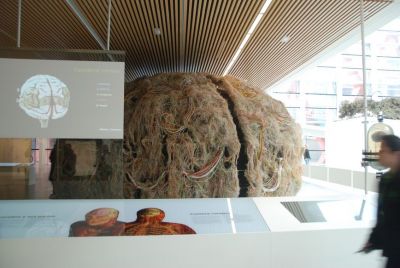 Atapuerca2014_004.jpg