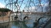 Roma2014_865_1.jpg