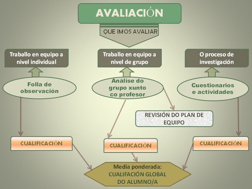 AVALIACION