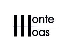 lOGO IES
