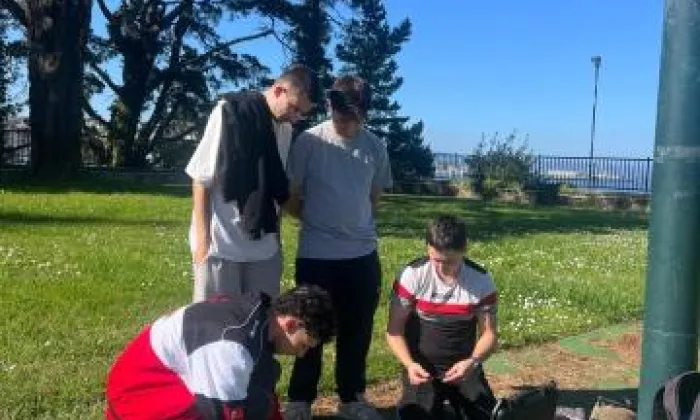 Drónica