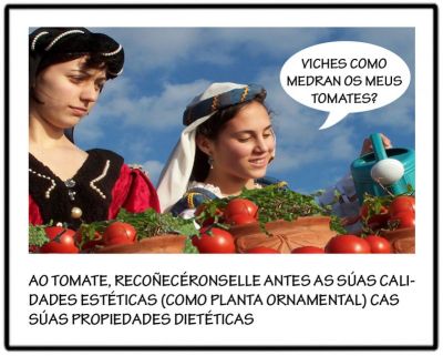 Palabras chave: tom 2
