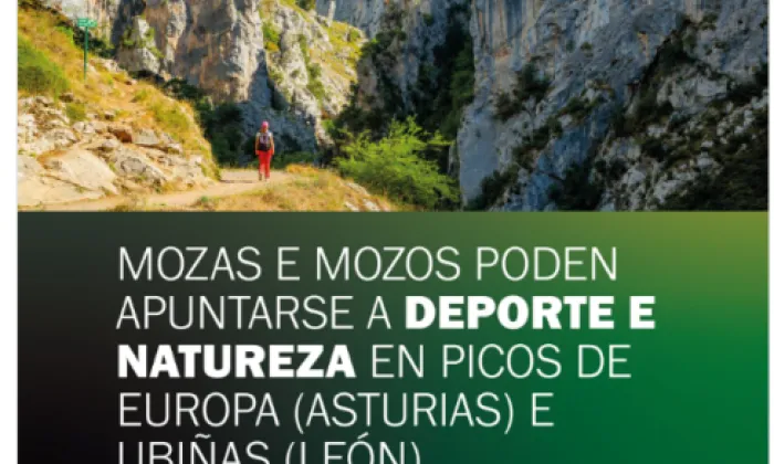 Actividades do Concello para verán
