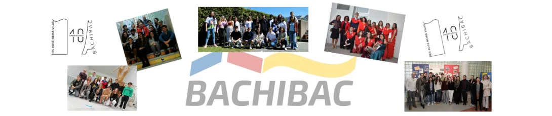 DestaqueBACHIBAC