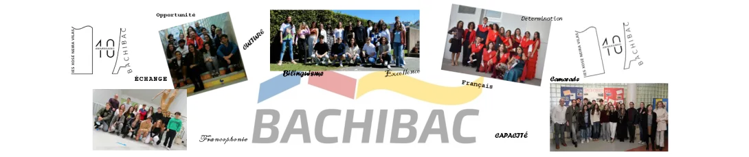 DestaqueBACHIBAC
