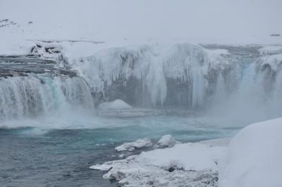 m_DSC_0339.jpg