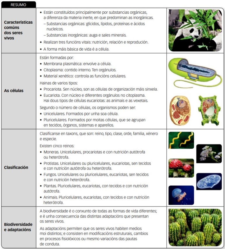 Puntos principais do tema A Biosfera 