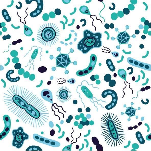 Debuxo de microorganismos 